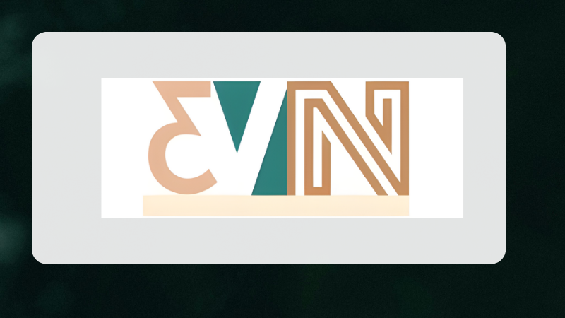 3VN skincare logo